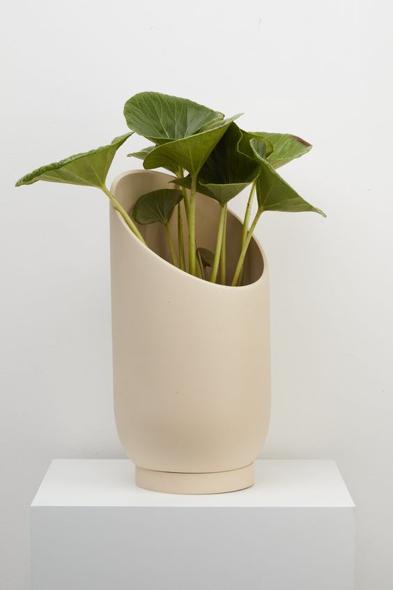 modernceramicvase